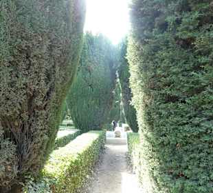 Сад королевского дворца Мадрида