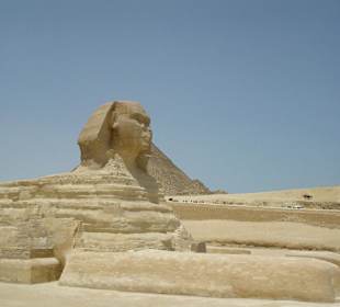Sphinx