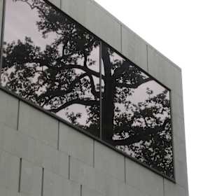 Spiegelung