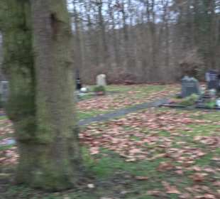 Friedhof Mittelstadt