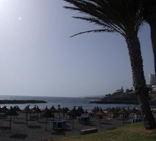 Playa del bobo