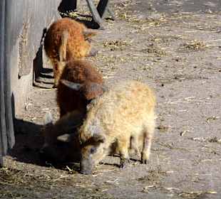 ImpressionOstern2013