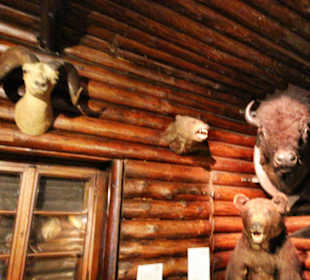 In der Villa Bärenfett