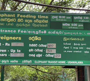 Elefantenwaisenhaus Udawalawa