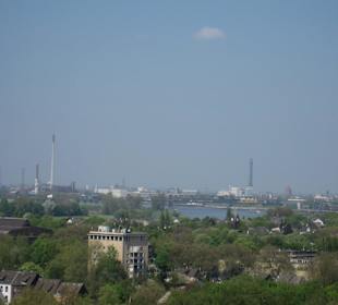 Aussicht auf den Rhein