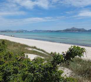 Blick Richtung Alcudia