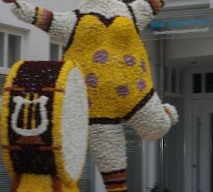 Chrysanthema
