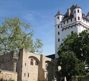 Die Kurfürstliche Burg Eltville