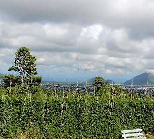 View from Trou aux Cerfs in Curepipe