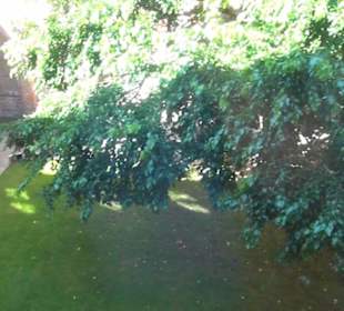 Gericht + Gefängnis - Burgkloster