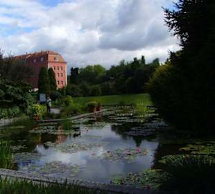 Ogrod botaniczny