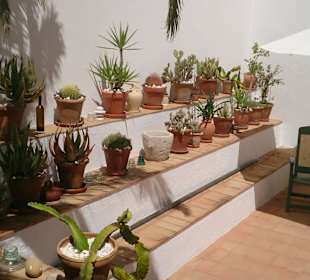Ayamonte