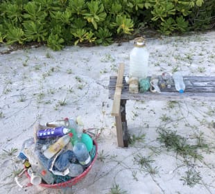 Stadtrundgang Hanimaadhoo