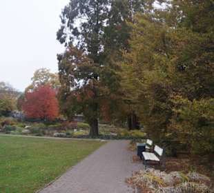 Parkanlage Planten un Blomen