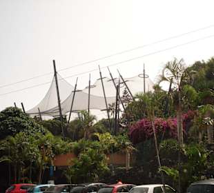 Neue Freiflugvoliere im Loro Parque