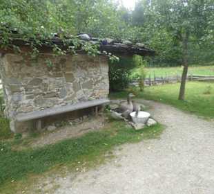 Interessantes Museum