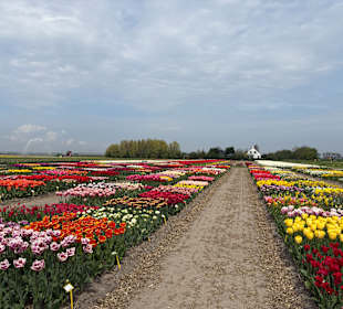 Floratuin Julianadorp