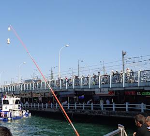 Blick auf die Brücke