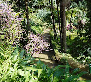 Monte Palace Tropical Garden
