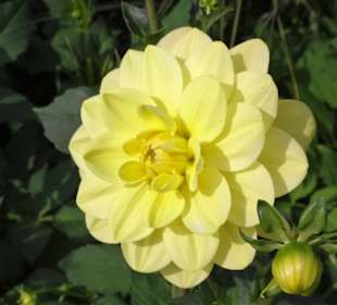 Eindrücke vom Rundgang durch den Park der Gärten