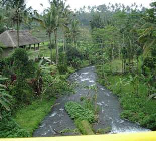 Fluss in Bali