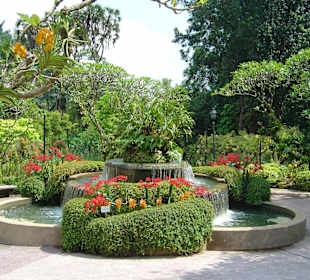 Botanischer Garten Singapur 