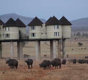 Julius Tact / JT Safaris