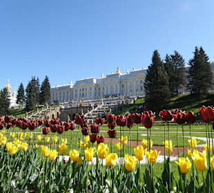 Il palazzo e i giardini
