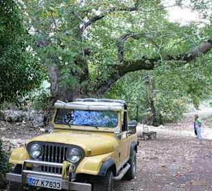 Jeep Safari mit Heike