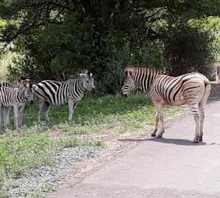 Mooooment mal - bin gleich weg ...