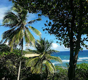 Nationalpark Cobo Francés Viejo