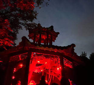 Mondo Verde Halloween