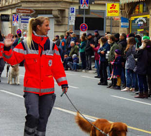 Hundestaffel auf dem Umzug