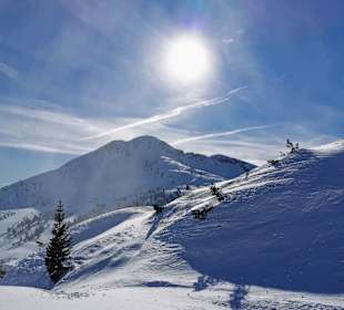 Skigebiet Val di Fiemme/Obereggen
