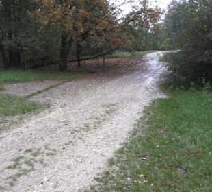 Naturschutzgebiet Listhof