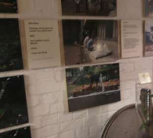 Spicy's Gewürzmuseum