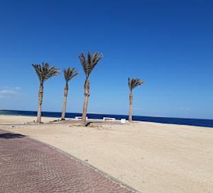 Strand Sahl Hasheesh