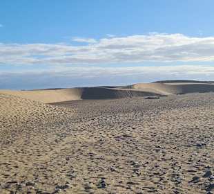 Blick über die Dünen