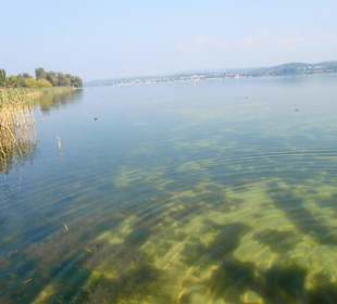 Reichenau