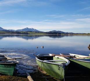 Hopfensee