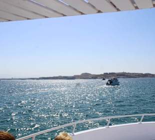 Schöne Aussichten vom Boot aus