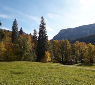 Schoßpark im Herbst