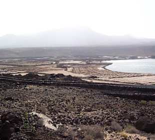 Las Salinas de Janubio