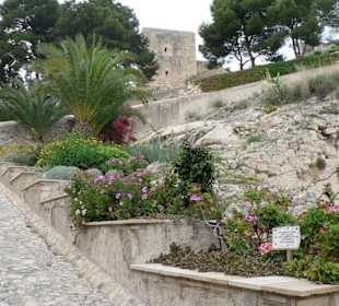 Angelebtes Blumenbeet