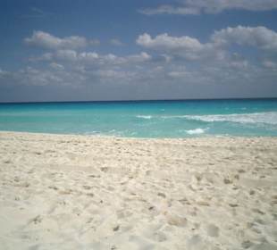 Dolphin Strand