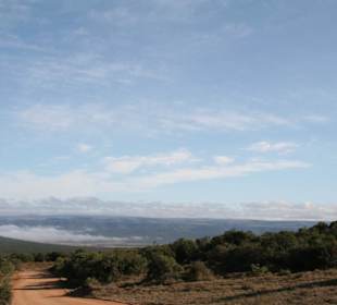 Addo Elephant Park