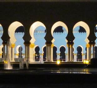 Im Licht der Dunkelheit 