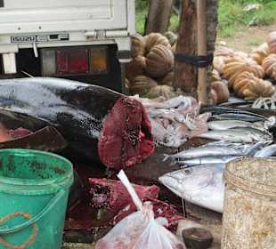 Frischer Fisch