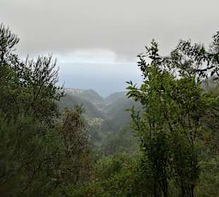 Inselrundfahrt Madeira