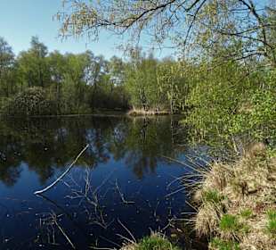 Impressionen aus der Gellener Torfmöörte